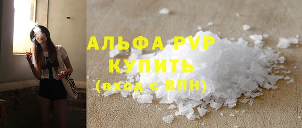 СК Ельня