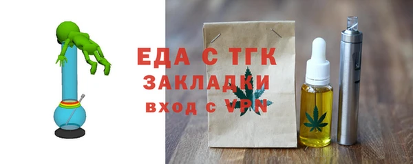 СК Ельня