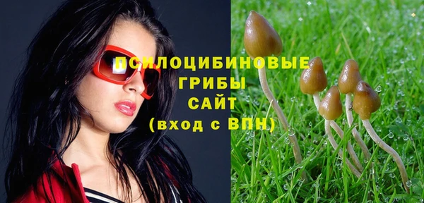 меф Елизово