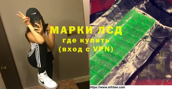 СК Ельня