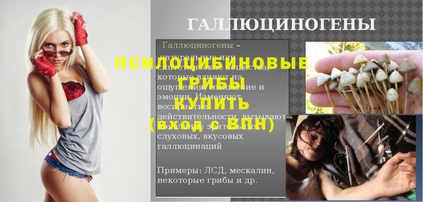 прущие грибы Заволжье