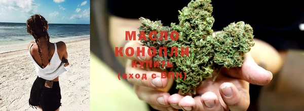 СК Ельня