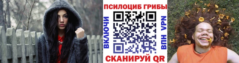Купить где  Карасук  Псилоцибиновые грибы прущие грибы 
